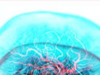 articles/2010/07/31/the-upside-of-irrationality-by-dan-ariely-review/holmes-irrationality_117193_kflwwc