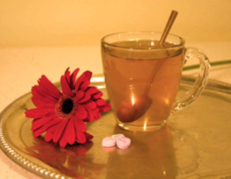 articles/2011/02/09/valentines-day-cocktail-recipes-to-fall-in-love-with/vday-cocktails---stiff-bitter_emyeqc