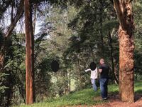 A photo of a Rwandan war crimes site in the forest, which is included in the criminal complaint against Eric Tabaro Nshimiye.