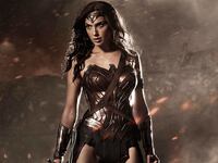 articles/2014/07/29/gal-gadot-s-wonder-woman-a-hamas-bashing-ex-idf-soldier-and-former-miss-israel/140726-wonder-woman-cheat_t5qcxp