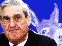 190304-rawnsley-rabbithole-mueller-tease_pji9na