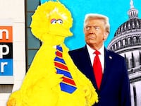 Donald Trump, Big Bird illustration