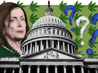 181017-Laslo-marijuana-policy-tease_brtwvw