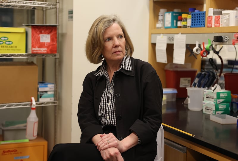 Sarah Fortune, Chair of the Department of Immunology and Infectious Diseases at Harvard T.H. Chan School of Public Health, said that the research animals may soon get put down.