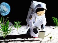 220512-Tran-lunar-soil-plants-tease_s91gop