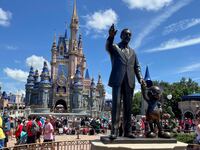 A general view of Walt Disney World in Florida.