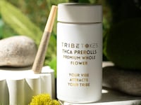 TribeTokes THCA pre-rolls case and pre-roll in front of a nature background