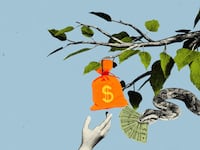 Photo illustration of a Garden of Eden scene with a snake with money in its mouth and a bag of money hanging from the tree