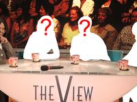 articles/2014/06/28/is-there-life-left-in-the-view/140627-teeman-the-view-tease_modflg