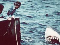 articles/2014/08/17/how-to-get-a-picture-of-a-frickin-mechanical-shark-on-the-set-of-jaws/140815-Shales-jaws-tease_oy1ntv