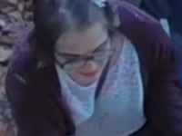 Madison Police Department handout of Morgan Geyser
