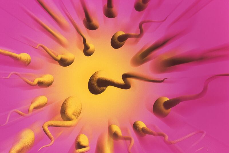 articles/2012/12/08/sperm-count-plummets-for-french-men-new-study/france-sperm-count-mcnicoll_rsnsac