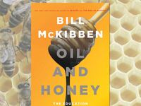 articles/2013/09/21/the-next-step-in-the-divestment-fight-bill-mckibben/130919-oil-honey-mckibben-tease_fmtzcv
