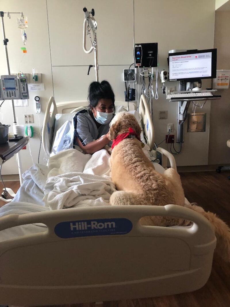 Therapy_Dog_sdeqmh