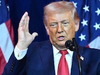 Trump pink hair