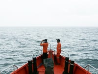 articles/2014/06/22/who-gagged-the-search-for-mh370/140529-irving-mh370-tease_einzi0