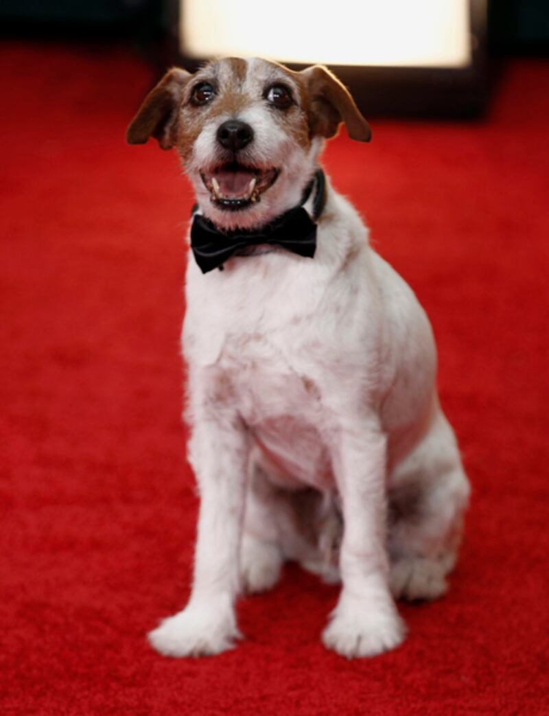 galleries/2012/01/15/golden-globes-2012-best-dresses-on-the-red-carpet-photos/golden-globes-uggie_vlkznf