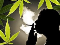 180511-Sterry-marijuana-opioid-tease_l1oa7j