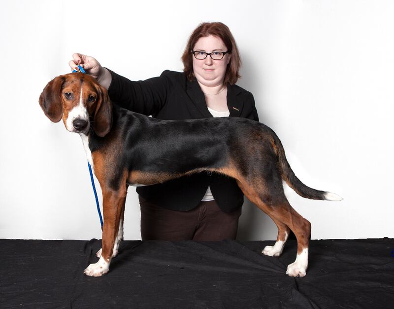 galleries/2015/02/16/best-in-show-meet-the-breeds-and-breeders-of-westminster-photos/150214-westminster-meet-the-breeds-15_ez5yvv