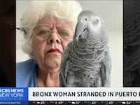 Maria Fraterrigo and Plucky