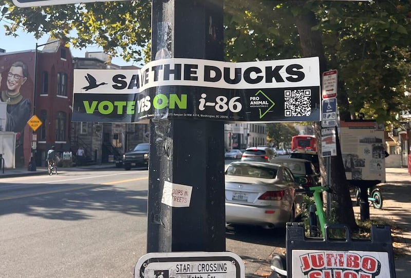 The battle over foie gras has hit the streets of D.C., and the dining tables at Butterworth’s.