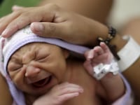 articles/2016/02/05/everything-you-need-to-know-about-zika-virus/160205-haglage-zika-tease_rby8np