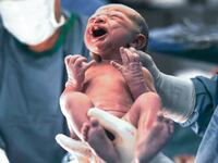 200323-melendez-midwives-tease_x7m3o8