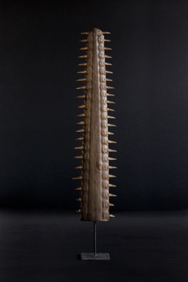 articles/2014/02/01/art-on-the-tracks/140131-mjones-rod-sawfish-embed_vwvghq