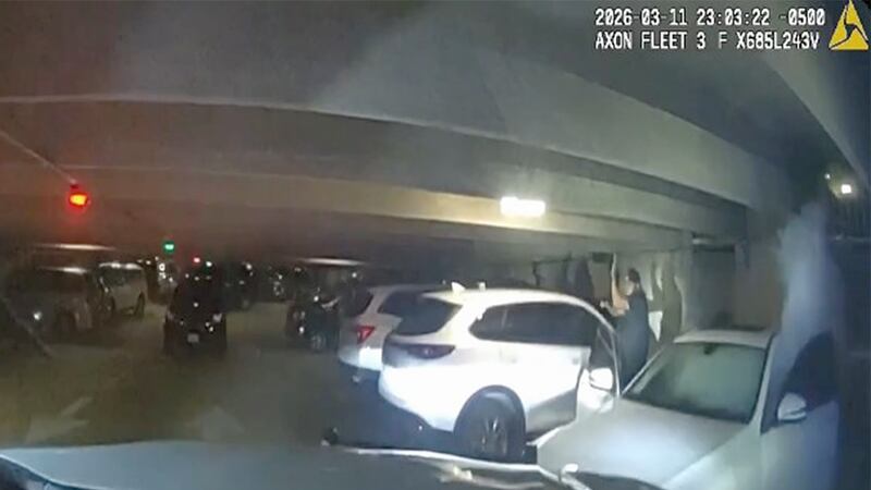 Dashcam footage