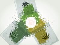 200401-Lachlan-Weed-covid-19-tease_ck1osf
