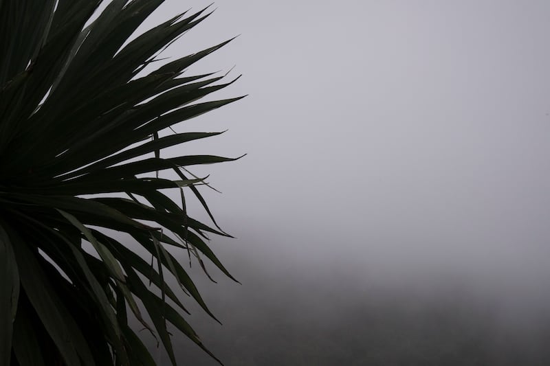 190810-frye-mexico-green-spaces-embed-CloudyVolcano_ozfh8n