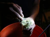 articles/2015/02/07/let-s-talk-about-hash-baby/150207-joiner-hashoil-tease_rodztl