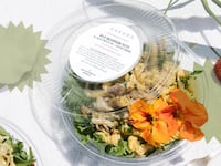Sakara Life Bridal program review