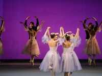 articles/2013/03/24/is-something-rotten-at-moscow-s-bolshoi-theater/130322-bolshoi-ballet-tease_ychzxi