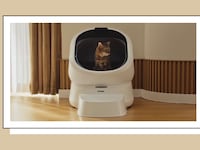 Petlibro Luma Smart Litter Box