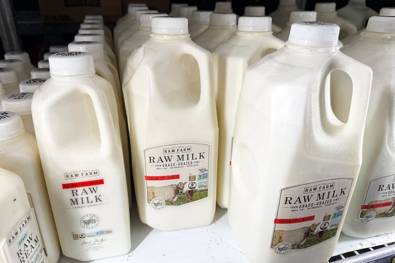Raw milk from Raw Farm is displayed for sale at a grocery store on November 29, 2024 in Torrance, California. Certain lots of the Fresno-based Raw Farm cream top, whole raw milk have been recalled by California public health and agriculture authorities amid ongoing concerns about possible H5N1 bird flu infections amont the farm's cattle. (Photo by Patrick T. Fallon / AFP) (Photo by PATRICK T. FALLON/AFP via Getty Images)