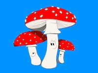 220831-love-of-mushrooms-hero_gt3dh0
