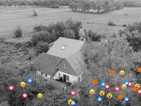 191017-dutch-family-facebook-tease_dzq4b6