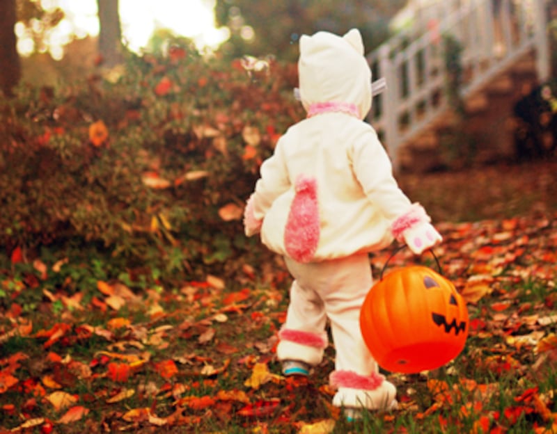 articles/2010/10/28/best-cities-for-halloween/florida-trick-or-treat-cities_136892_xobn8w
