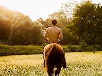 articles/2012/12/01/germany-weighs-bestiality-ban-amid-rise-of-pet-porn-animal-brothels/nadeau-bestiality-germany-tease_rrinxr