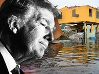 Puerto Ricans as President Trump Arrives: ‘Come See for Yourself the Devastation’