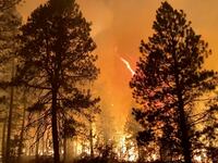 2021-07-15T161653Z_1114697418_RC2OKO9LQRIN_RTRMADP_3_USA-WILDFIRES_gustef