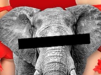 articles/2016/07/16/porn-industry-blame-the-gop-for-the-public-health-crisis-not-us/160715-snow-convention-porn-tease_ys5osp