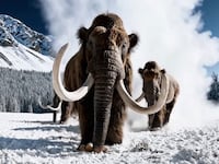 Mammoths running in a frozen tundra