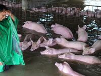 galleries/2016/07/05/fatal-floods-intensify-in-china-photos/160705-china-flooding-01_f8dild