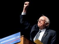 20-01-20-Stein-Bernie-tease_owzcpx