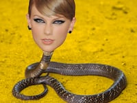 170824-zimmerman-tswift-tease_qtjnur