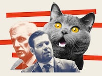 Photo illustration of Representatives Eric Swalwell (D-CA) and Kevin McCarthy (R-CA) with a large shocked cat in the background.