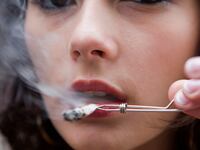 articles/2014/07/06/the-chronic-chronicles-a-history-of-pot/140703-roffman-history-pot-tease_zhaxa4