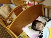 articles/2012/03/31/anti-adoption-traditions-in-the-muslim-world-benefit-al-qaeda-recruiters/let-muslims-adopt-nomani_l6a2nv